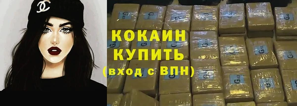 дживик Абаза