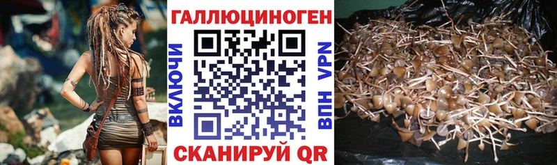 Галлюциногенные грибы мухоморы  где можно купить   Бирюсинск 